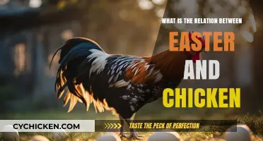 Easter and Chickens: Unraveling the Symbolic Connection and Traditions