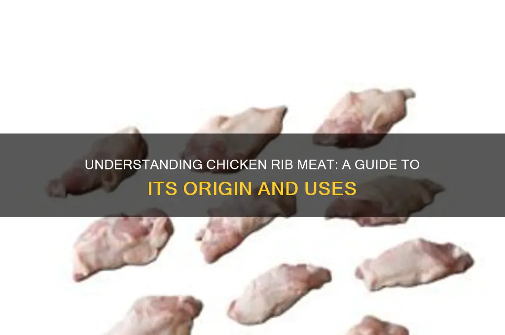 what is the rib meat in chicken