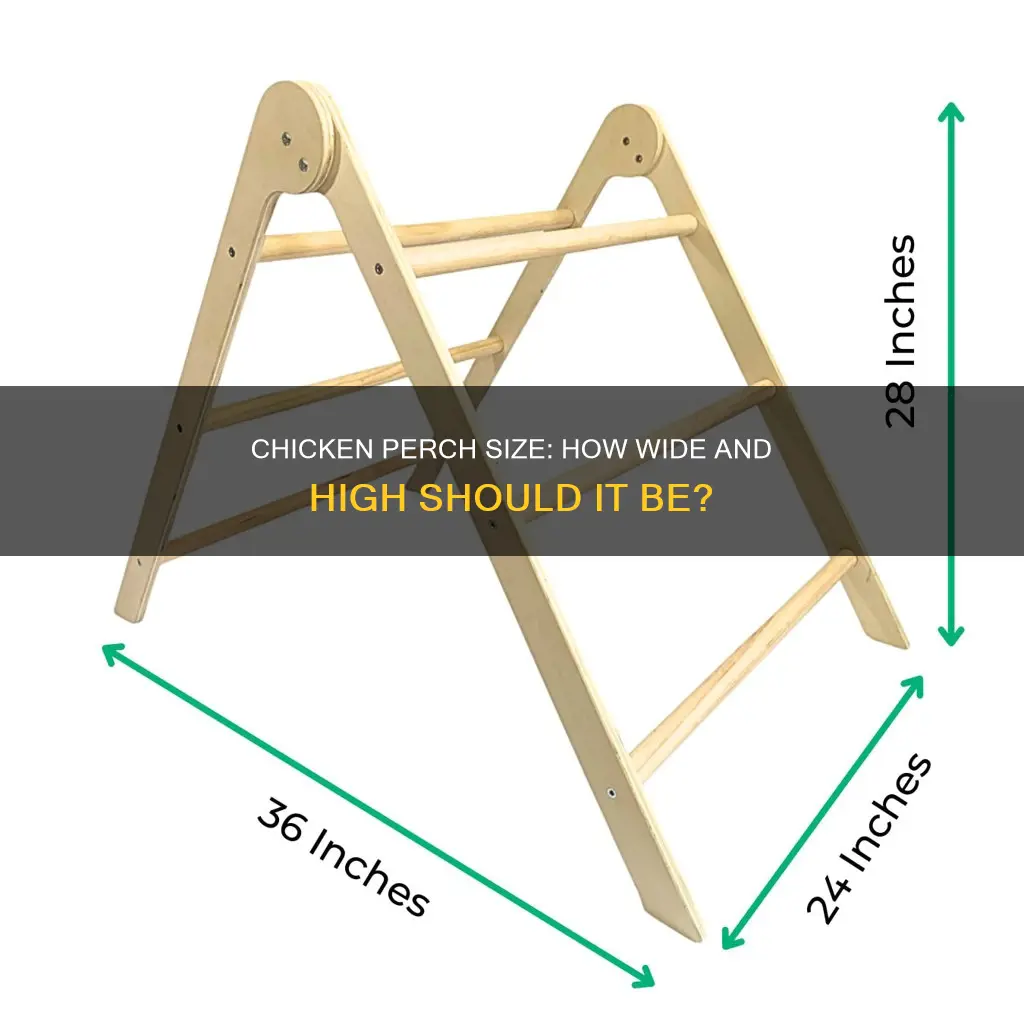 what is the right size for a chicken perch