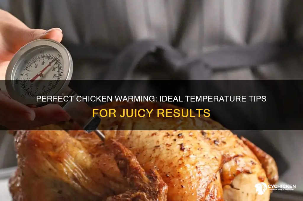 what is the right temperature to warm chicken
