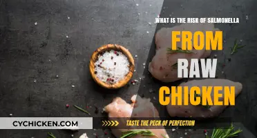 Chicken Salmonella Risks: What You Need to Know