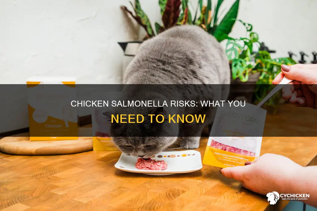 what is the risk of salmonella from raw chicken