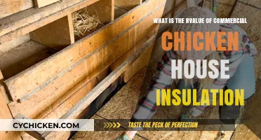 Chicken House Insulation: R-Value Considerations
