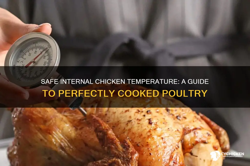 what is the safe internal teperature for chicken