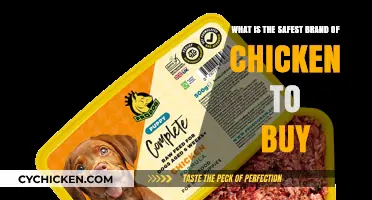 Choosing the Safest Chicken Brand: A Guide to Healthy Options