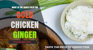 Chilling Chicken Ginger: Unveiling the Perfect Cold Sauce Recipe