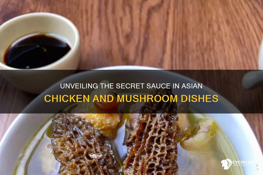 what is the sauce in asian chicken amd mushroom