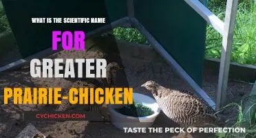 The Unique Scientific Name of the Greater Prairie-Chicken