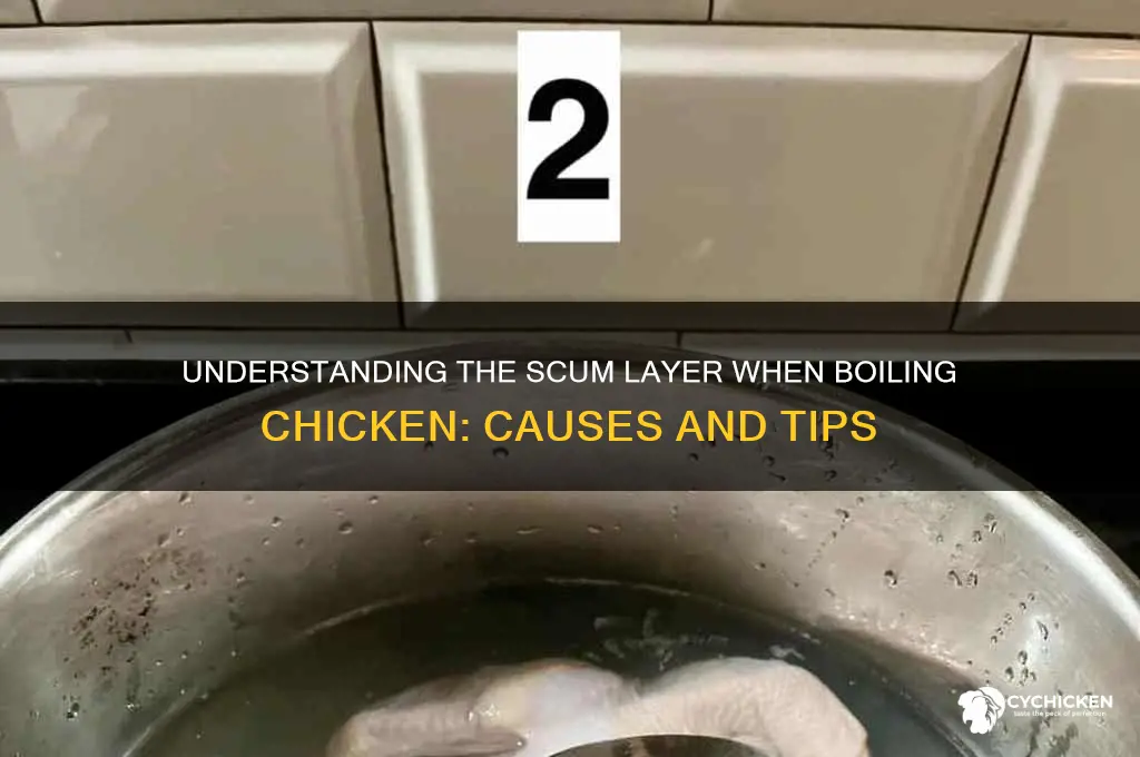 what is the scum layer when boiling chicken