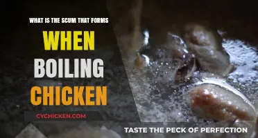 The Mystery of Chicken Broth Scum: What's the Deal?