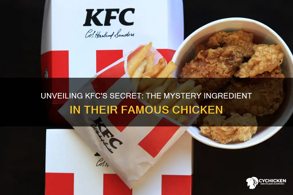 what is the secret ingredient in kfc chicken
