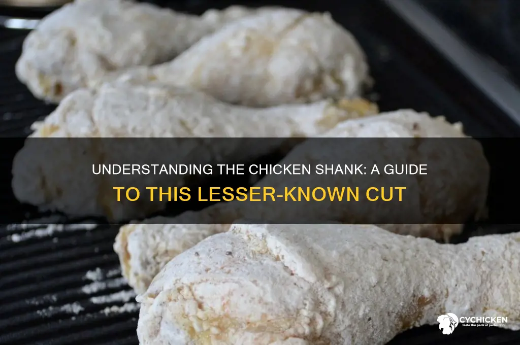 what is the shank on a chicken