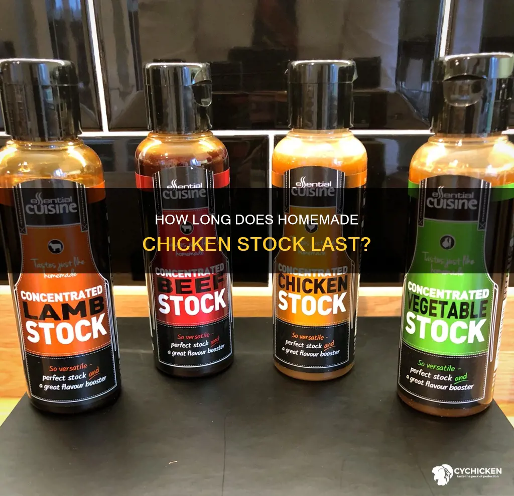 what is the shelf life of homemade chicken stock