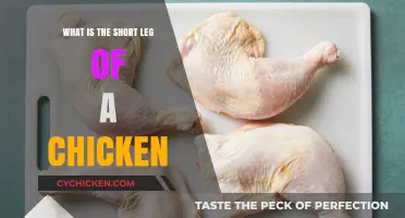 Understanding the Short Leg of a Chicken: Causes and Care Tips