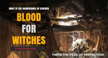Chicken Blood: A Witch's Magical Power Source