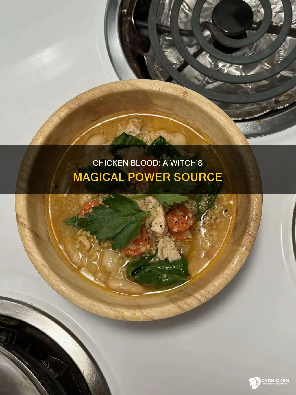 what is the significance of chicken blood for witches