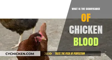 Unveiling the Cultural and Scientific Significance of Chicken Blood