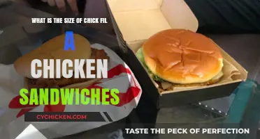 Chick-fil-A Chicken Sandwich Size: A Complete Guide to Dimensions