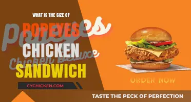 Popeyes Chicken Sandwich Size: A Complete Guide to Its Dimensions