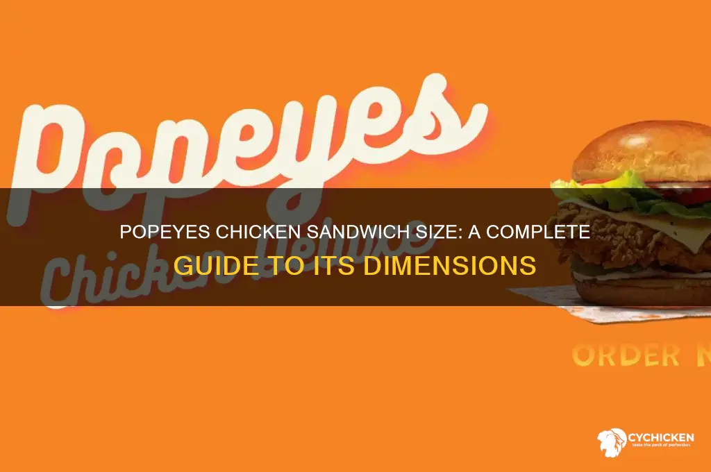 what is the size of popeyes chicken sandwich