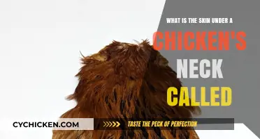The Chicken's Neck Skin: What's it Called?