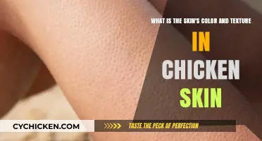 Chicken Skin: Color and Texture Explained