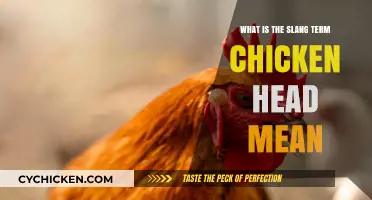 Unraveling the Meaning: What Does the Slang Term 'Chicken Head' Really Mean?