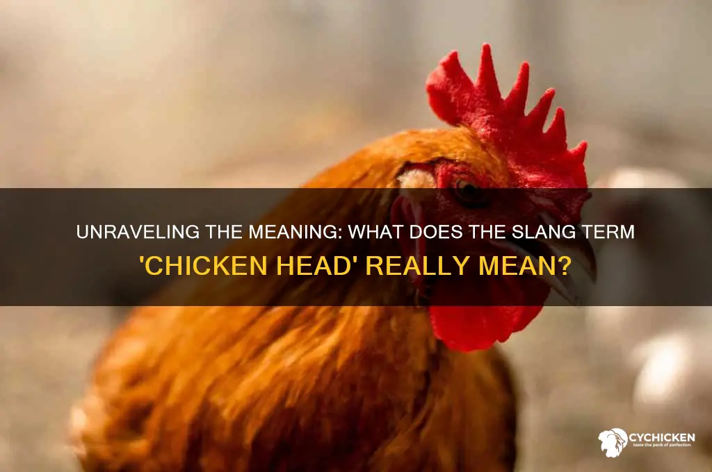 what is the slang term chicken head mean