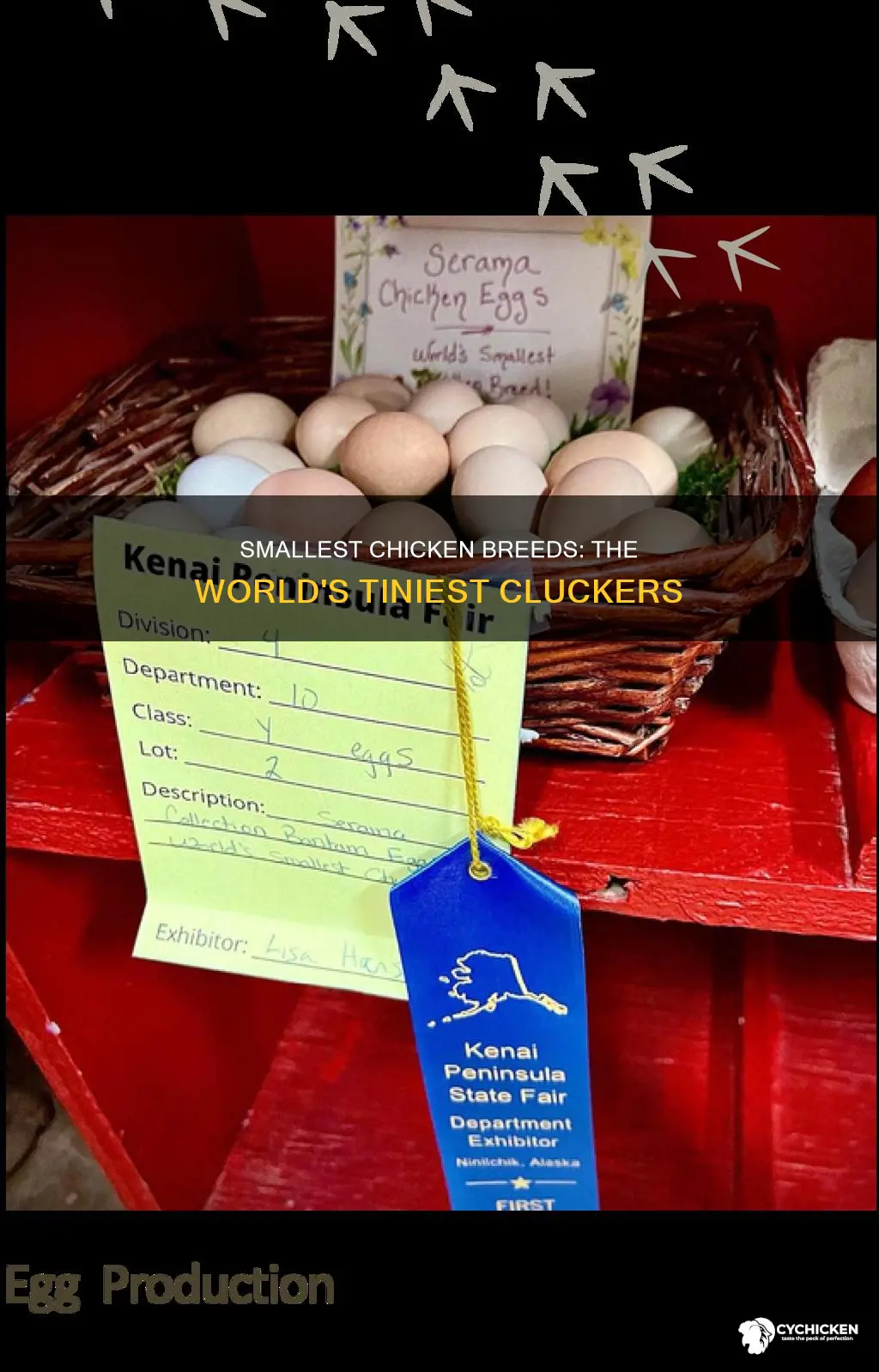 what is the smallest chicken breed in the world