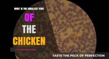Exploring the Microscopic: What Constitutes the Smallest Chicken Component?
