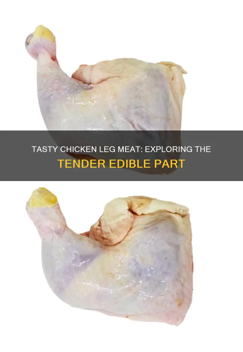 what is the soft edible part of the chicken leg