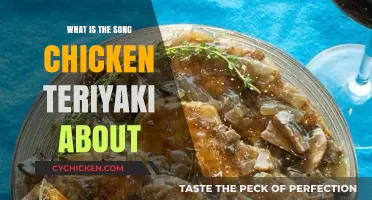 Unraveling the Meaning Behind Rose's Hit Song Chicken Teriyaki