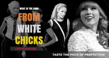 Unveiling the Catchy Tune: White Chicks' Iconic Song Revealed