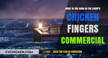 Zaxby's Chicken Fingers Commercial: What's the Song?