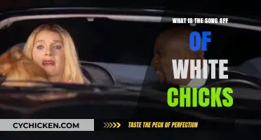 A Night to Remember: The Iconic Song from White Chicks