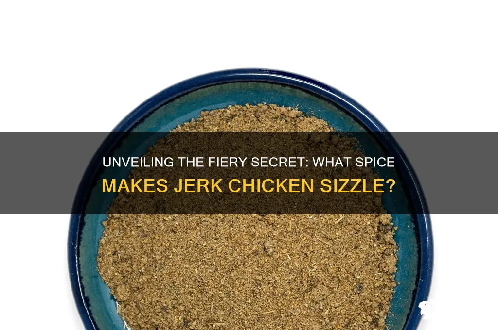 what is the spice in jerk chicken