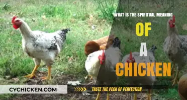 Unveiling the Chicken's Spiritual Symbolism: Insights and Ancient Wisdom