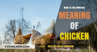 Unveiling the Spiritual Symbolism and Hidden Wisdom of Chickens
