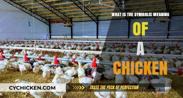 Unveiling the Symbolic Meaning of Chickens in Culture and Mythology