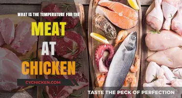 Chicken Cooking: Meat Temperature Safety