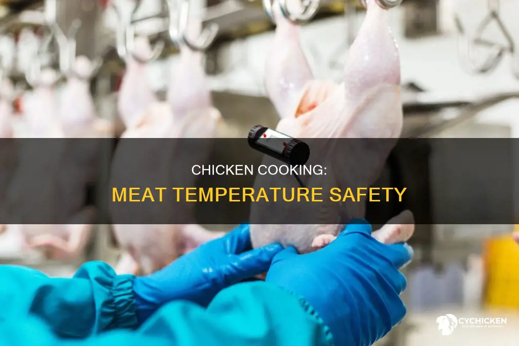 what is the temperature for the meat at chicken