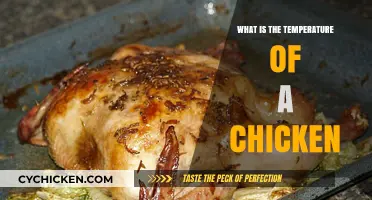 Understanding the Ideal Temperature for Cooking Chicken Safely