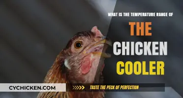 Chicken Cooler Temperature Range: How Cold is Too Cold?
