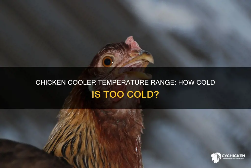 what is the temperature range of the chicken cooler