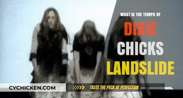 Dixie Chicks' Landslide: Uncovering the Emotional Tempo of Their Cover
