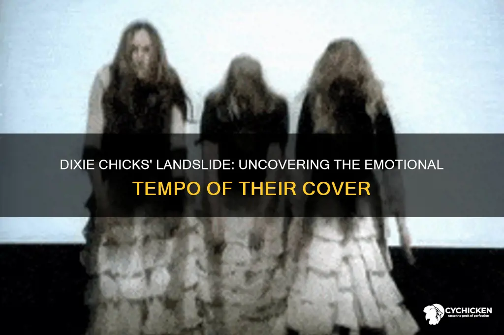 what is the tempo of dixie chicks landslide