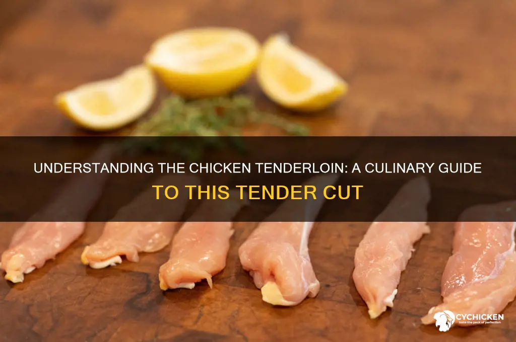 what is the tenderloin of a chicken