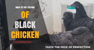 Exploring the Unique Texture of Black Chicken: A Culinary Insight