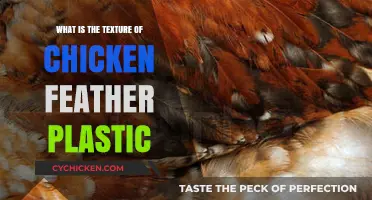 Exploring the Unique Texture of Chicken Feather Plastic Material