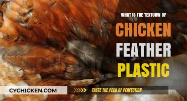 Exploring the Unique Texture of Chicken Feather-Based Plastic Material